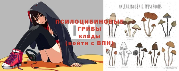 ГАЛЛЮЦИНОГЕННЫЕ ГРИБЫ Бугульма