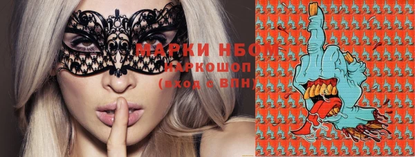 прущие крисы Бородино